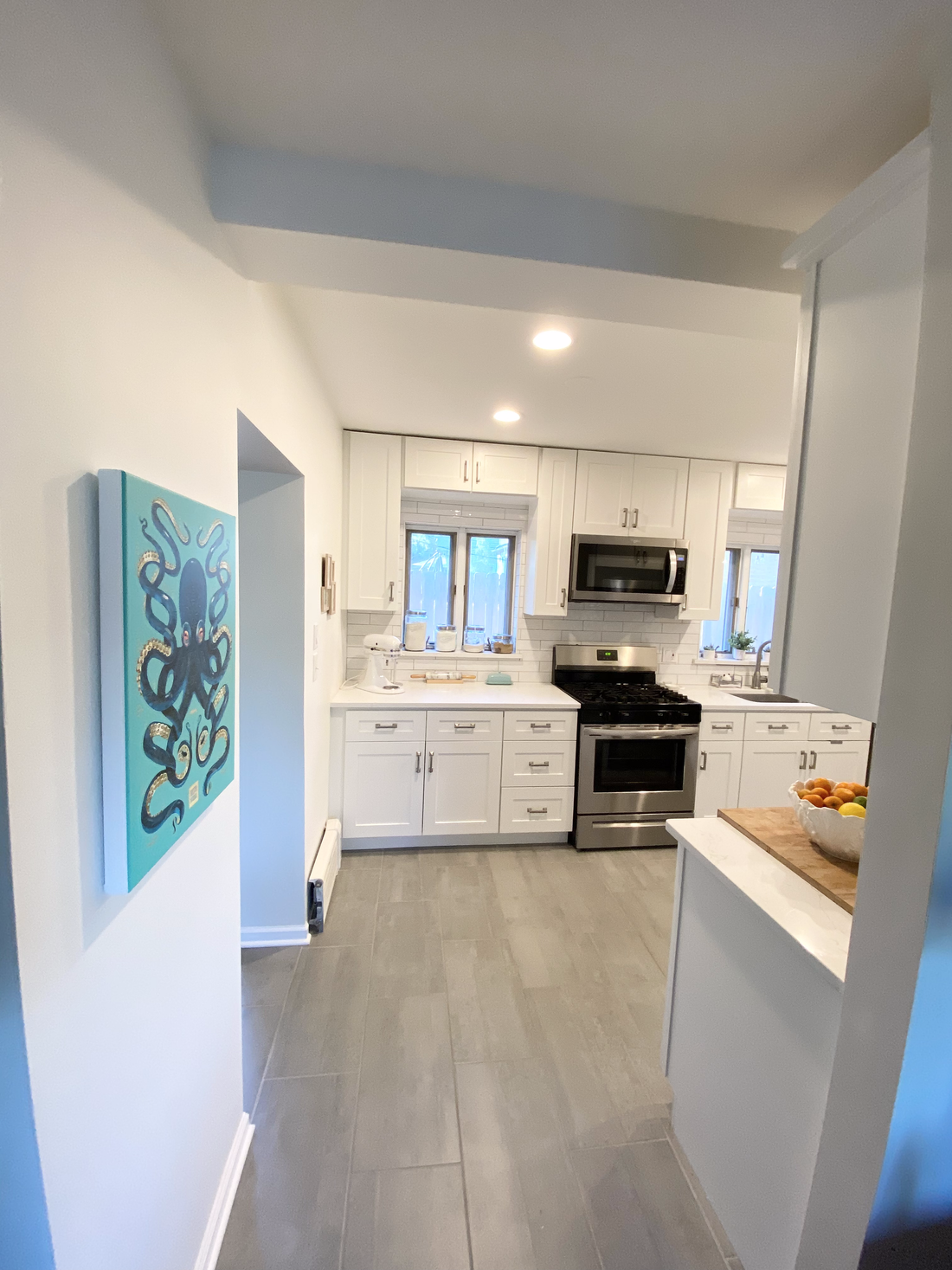 Kitchen Renovation in Libertyville, IL: Modern Designs & Exceptional Craftsmanship
