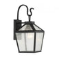 Woodstock 1-Light Outdoor Wall Lantern in Black
