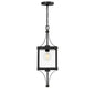 Raeburn 1-Light Outdoor Hanging Lantern in Matte Black and Weathered Brushed Brass