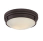 Lucerne 2-Light Ceiling Light in English Bronze