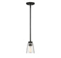 Calhoun 1-Light Mini-Pendant in Matte Black
