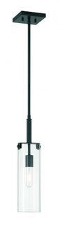 Winfield 1-Light Mini-Pendant in Matte Black