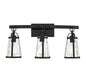 Albany 3-Light Bathroom Vanity Light in Black