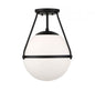 1-Light Ceiling Light in Matte Black